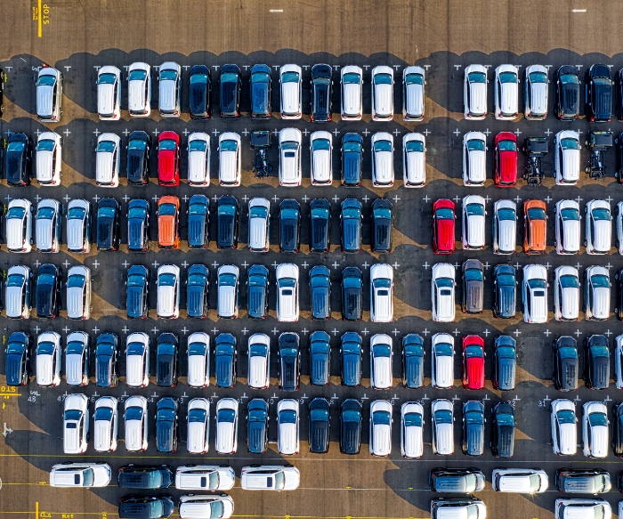 Sortie de fourrière